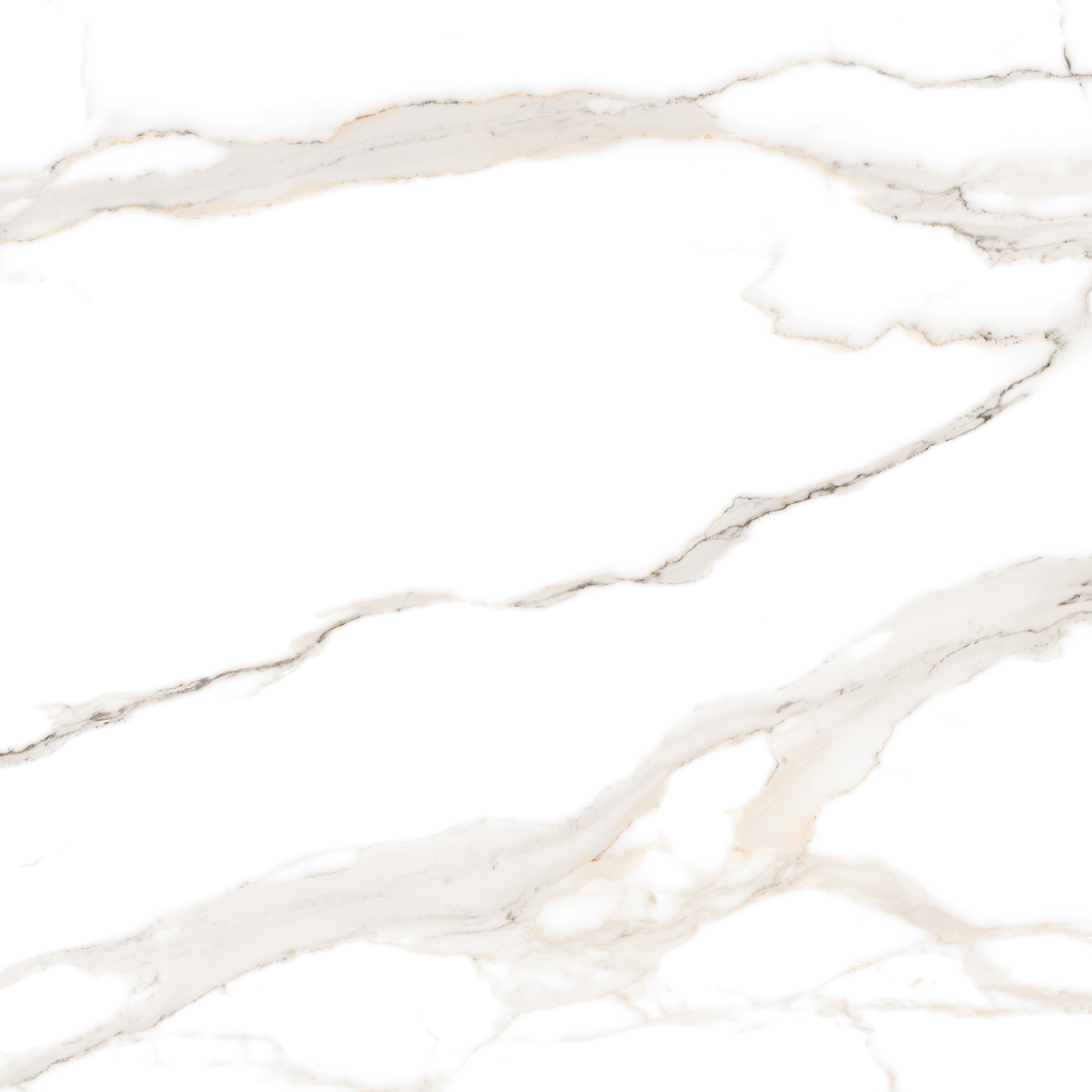 Statuario gold 60х60