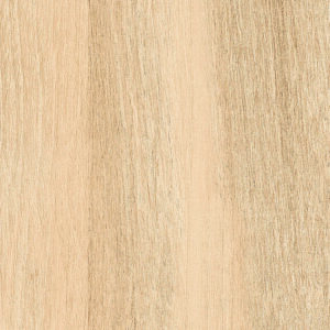 ASH WOOD BEIGE 20х120